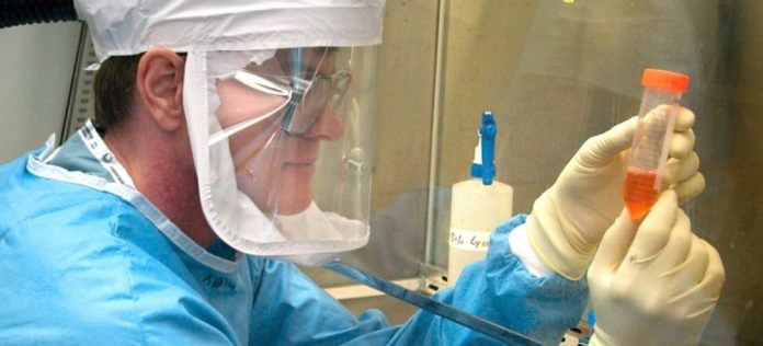 This photograph of CDC?s Dr. Terrence Tumpey, Microbiologist for the National Center for Infectious Diseases, shows him examining specimens of the 1918 Pandemic Influenza Virus?a virus that was reconstructed in hopes of combating a future influenza pandemic.Dr. Tumpey recreated the 1918 influenza virus to identify the characteristics that made the 1918 influenza virus so harmful. This effort enables researchers to develop new vaccines and treatments for future pandemic influenza viruses. The 1918 flu epidemic was caused by an influenza A virus (H1N1), killing more than 500,000 people in the United States, and up to 50 million worldwide. Many people died within the first few days after infection, and others died of complications later. Nearly half of those who died were young, healthy adults. Influenza A (H1N1) viruses still circulate today after being introduced again into the human population in the 1970s. Date: 2005Content credits: / xxxxxPhoto credit: James GathanyImage storage: xxxxxxxxxxxxxSupport File: CD_122_DH/ 012http://www.cdc.gov/od/oc/media/pressrel/r051005.htmCDC ? Office of Communication - Media Release - 1918 Influenza Virushttp://www.cdc.gov/flu/avian/gen-info/pandemics.htmCDC ? Information about Influenza Pandemics